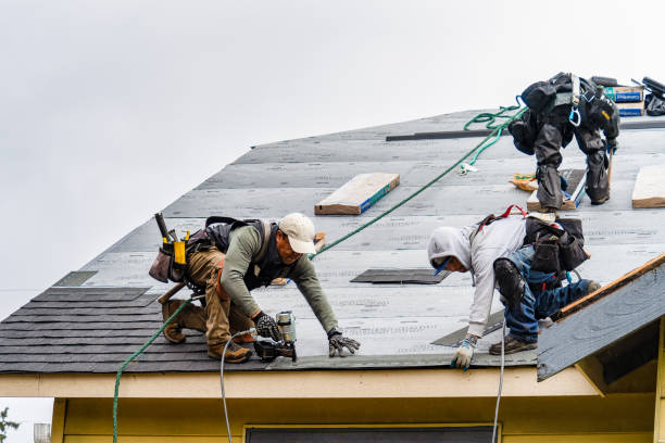 Professional Flat Roof Repair technician working in Vida, OR